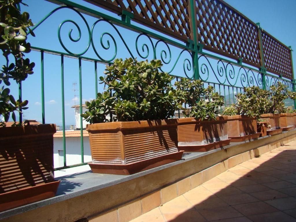 Sorrento Inn Guesthouse Buitenkant foto